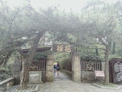 -庐山风景区花径公园