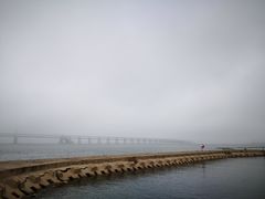 -星海湾跨海大桥