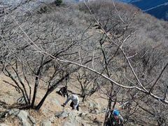 -北京鹫峰国家森林公园