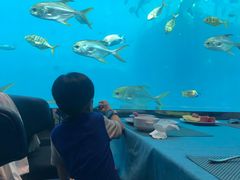 -瑞德姆美人鱼海底演艺主题餐厅(亚龙湾店)