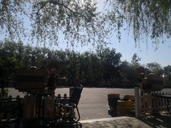 -枫花园汽车电影院(朝阳公园店)