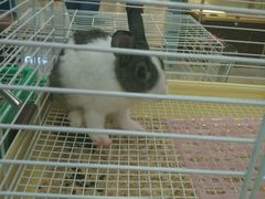 -乐宠宠物店(世纪金源店)