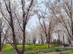 -宜兴龙背山森林公园
