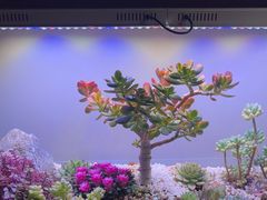 -街角等你.大连海鲜烧烤(西安路店)