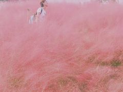 -黄龙溪欢乐田园