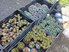 -玉泉综合市场(天山北路店)