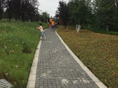 -铁山坪森林公园