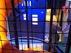 -新濠影汇华纳满Fun童乐园