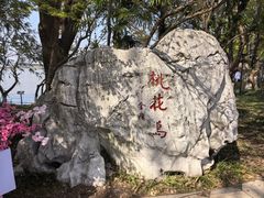 -金鸡湖桃花岛