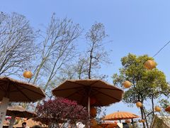 -伴山茶苑·围炉煮茶