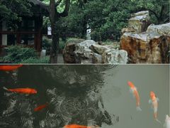 -耦园