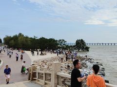 -宝安西湾红树林湿地公园