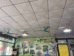 -鸿渡渔庄·特色鸭咀鱼