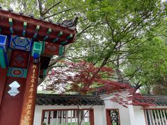 -百脉泉景区