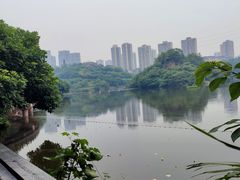 -重庆彩云湖湿地公园