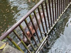 -海南热带野生动植物园