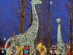 -大连森林动物园