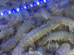 -日照大牌檔•小船海鲜(万平口店)