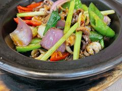 酱爆八爪鱼-君之悦酒家(容山路店)