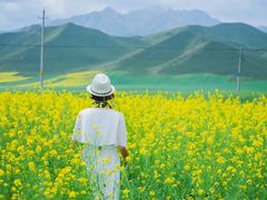 -扁都口生态休闲旅游区