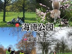 -海德公园