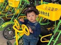 -济南国际园博园