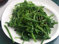 -云里小坐·小院里·团建·宴请·下午茶(三圣乡店)