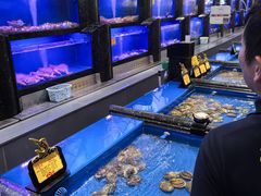 -万宝海鲜舫(劳动公园店)