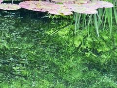 -云溪植物园