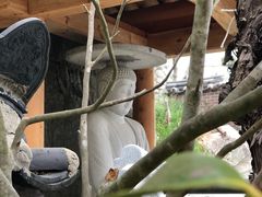 -海东龙宫寺