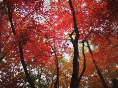 -五女山景区