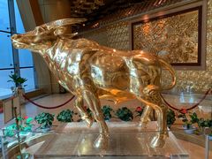 -华西龙希大酒店旅游观光区
