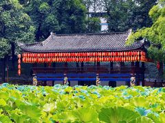 -房湖公园