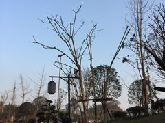 -枫香湖儿童公园