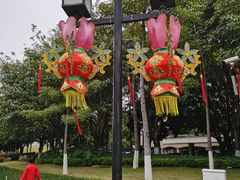 -映月湖公园