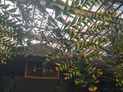 -龙达温泉生态城