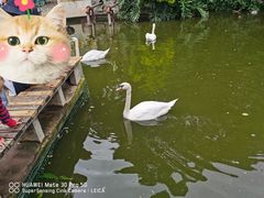 -昆明动物园