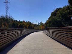 -昆山城市生态森林公园