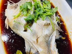 清蒸鲈鱼-同发号饭庄(复兴路店)