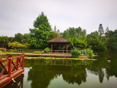 -苏州吴宫泛太平洋酒店