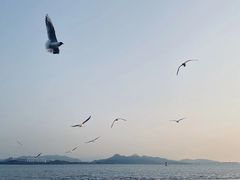 -深圳湾公园(南山区)