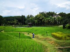 -四季酒店下午茶