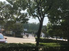 -南京理工大学紫金学院