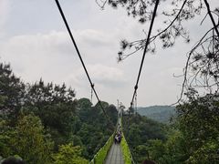 -石燕湖生态旅游景区