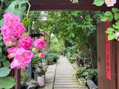 -谷咖啡·鲜花绿植花园餐厅