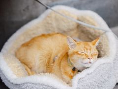 -Again Coffee Roaster(香蜜湖店)