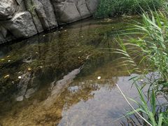 -碓臼峪自然风景区