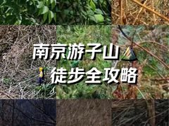 -游子山休闲旅游区