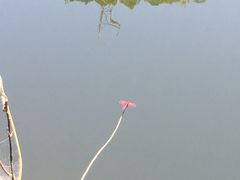 -修水东浒寨风景区