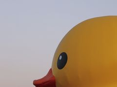 -深圳人才公园